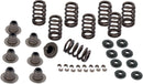 Harley-Davidson FLRT 1868 Freewheeler 114 [2025] - 0,605" Schwerlast-Ventilfederkit – Bild 1