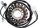 Triumph Daytona 675 [RICK'S MOTORSPORT ELECTRIC] – Stator im OEM-Stil