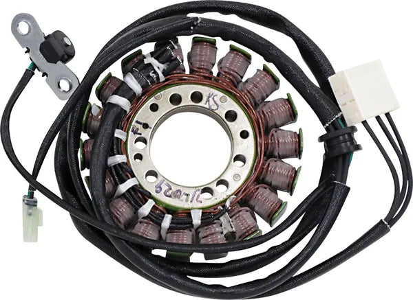 Triumph Daytona 675 [RICK'S MOTORSPORT ELECTRIC] – Stator im OEM-Stil