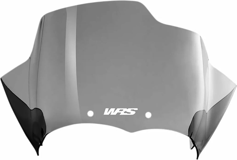 BMW R 1200 R [WRS] - vindrutan