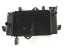 Yamaha YZF 125 RE06 [2011] - Cool Water Cooler-3