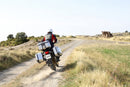 Honda Forza 750 [SHAD] - TR47 Terra Rechter Seitenkoffer-10