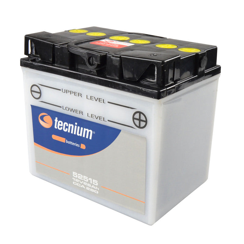 BMW R 100 S [TECNIUM] - Motorradbatterie