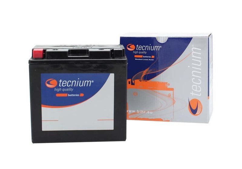 Yamaha Xvs 1100 Drag Star [TECNIUM] - Wartungsfreie Batterie Werkseitig aktiviert - BT14B-4