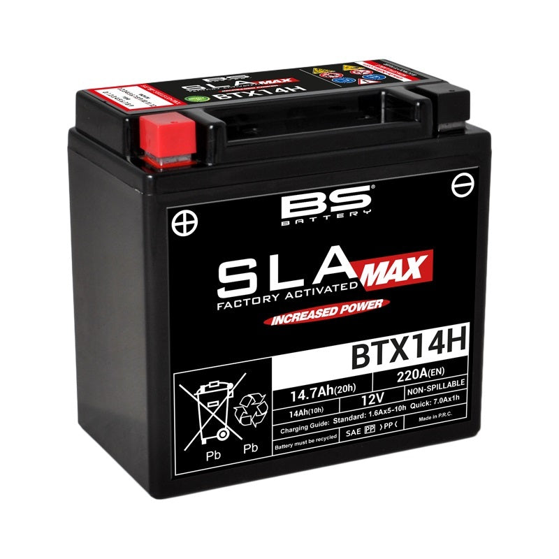 BMW R 1200 GS [BS BATTERY] - Motorradbatterie
