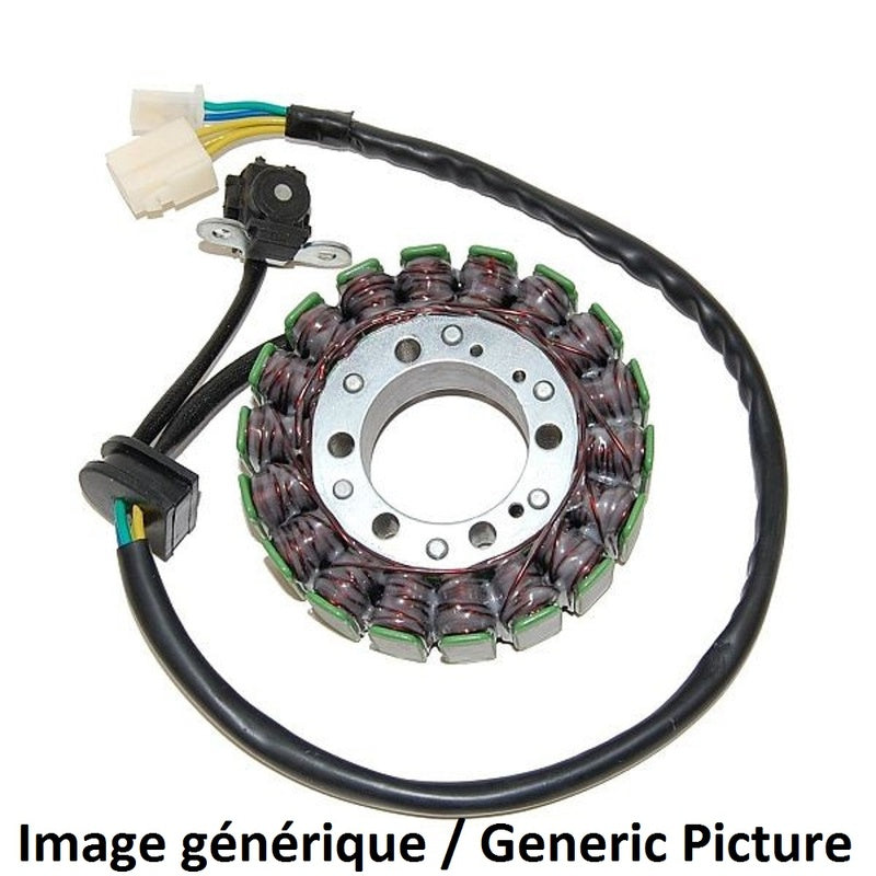 Suzuki Sv 1000 [ELECTROSPORT] - Stator - Suzuki SV1000