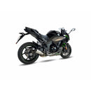 Kawasaki Ninja 1000 [IXIL] - RC Endtopf Edelstahl / Endkappe Carbon - CK7294RC