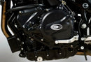 Husqvarna NUDA 900 ABS [2012-2014] - Motorgehäusedeckelschutz - Set - Husqvarna NUDA 900R