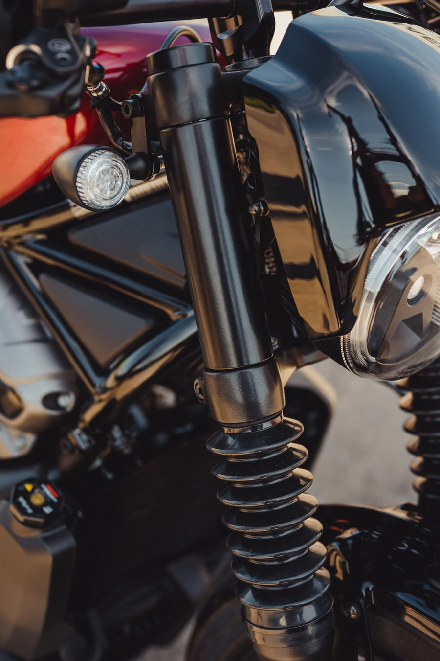 harley davidson nightster [CULT WERK] – fork covers