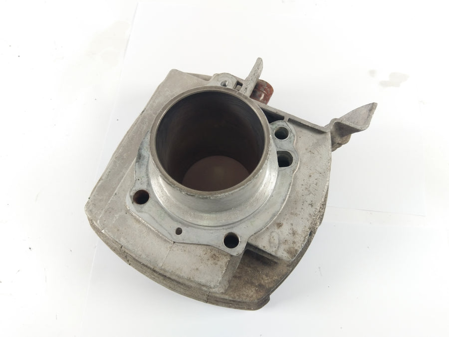 Ducatipah - Cagiva Alazzurra - Cylinder