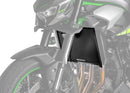 HONDA CB 1000 HORNET SP [2025] – D12 Spoiler – Carbon look-2