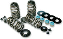 Buell S 3 T Thunderbolt 1200 [1996] - Econo Beehive® Ventilfeder-Kit – Bild 2