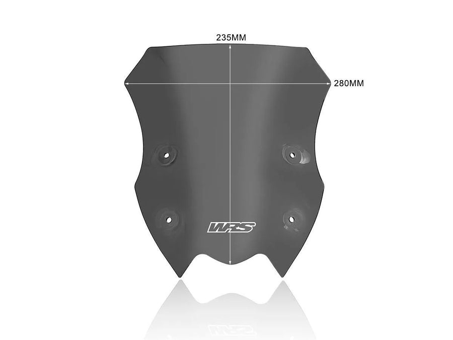 Kawasaki Z 900 [WRS] – Windschild