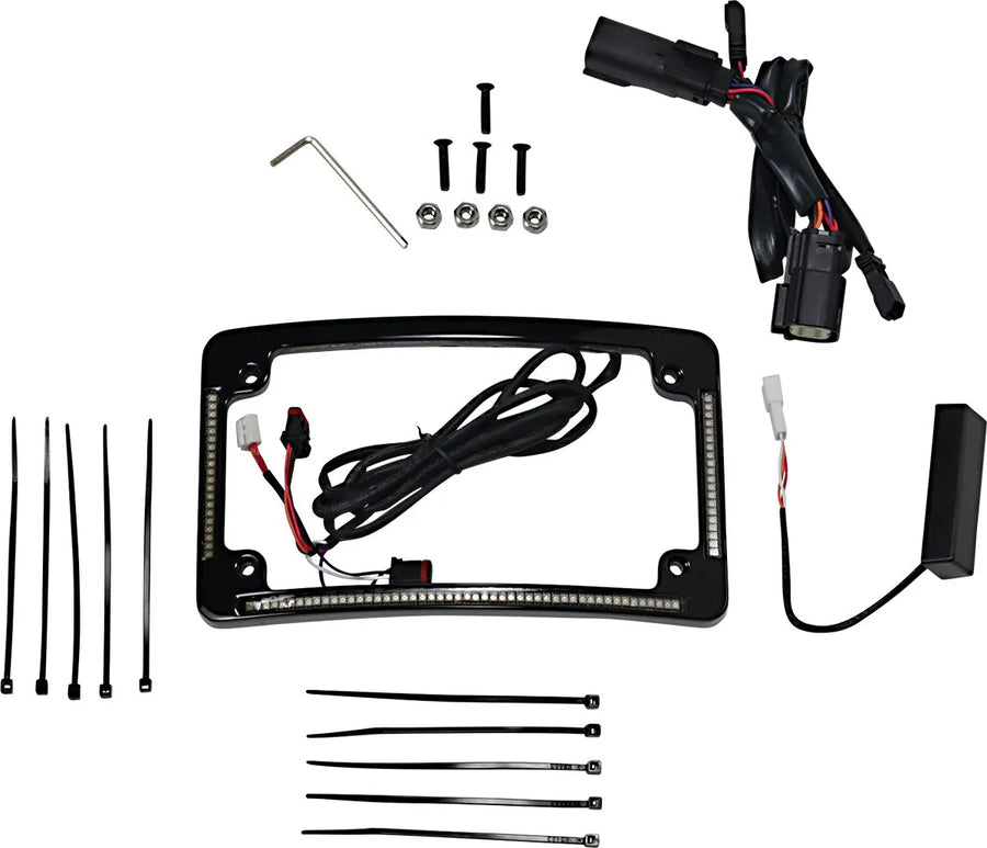 harley davidson flhr [CUSTOM DYNAMICS] – LED Radius Kennzeichenrahmen