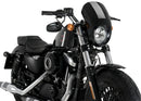HARLEY DAVIDSON SPORTSTER FORTY-EIGHT XL 1200 X [2020] – ALU Frontplatte-2