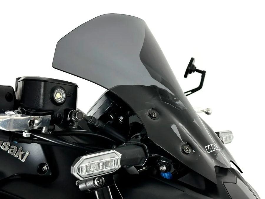 Kawasaki Z 900 [WRS] – Windschild