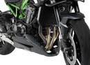 KAWASAKI Z 900 SE [2025] – Fersenplatten – Schwarz-12