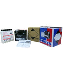 California 1000 [PARTS EUROPE] – Hochleistungs-Batterie-Kit