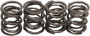 harley davidson flfb [KIBBLEWHITE] – ventilfjädersats-1