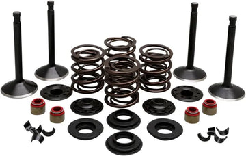 Harley Davidson Flfb [KIBBLEWHITE] – Motorventil-Kit
