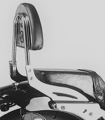 Honda VT 750 D2 Black Wido [2001-2003] - Sissybar utan bagagebro