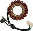 Suzuki VL 1500 [RICK'S MOTORSPORT ELECTRIC] – Stator für Suzuki