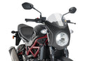 SUZUKI SV 650 [2025] – Retro-Verkleidungscheibe – Getönt-13