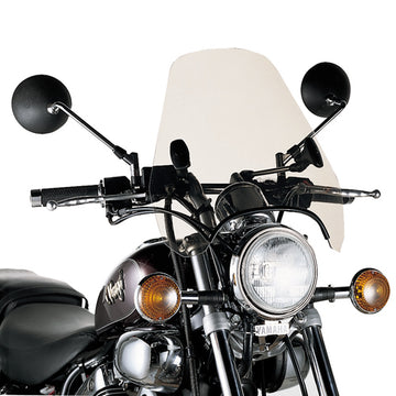 SUZUKI TU 250 [1997-2004] - Universal vindruta