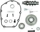 Harley-Davidson FLRT 1868 Freewheeler 114 [2021, 2023] - 540G Nockenwellensatz – Bild 5
