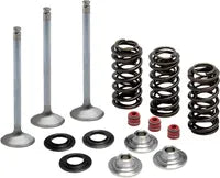 Yamaha LB 80 [KIBBLEWHITE] – Einlass Edelstahl-Umrüstventil und Feder-Kit