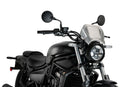 KAWASAKI ELIMINATOR 500 SE [2025] – ALU Frontplatte – Silber-2