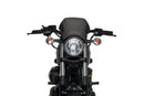YAMAHA XV 950 R [2020] – ALU frontplatta – silver-9