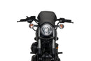 YAMAHA XV 950 R [2020] – ALU frontplatta – silver-7