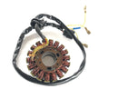 Husaberg Fe 501 [2002] - Generator Stator-1