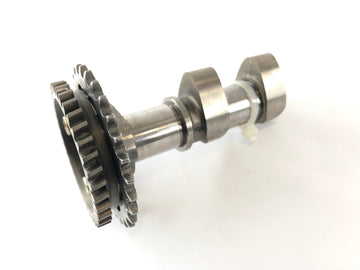 Aprilia RSV 1000 RR Factory [2009] - Kamaxelkamaxelcylinder bakom