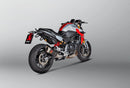 BMW F 900 R [2020-2025] - Slip-on avgassystem