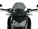 Kawasaki Z 900 [WRS] – Windschild-2