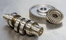 Harley-Davidson FLHD 1923 Deadwood 117 [2026] - 590G Nockenwellensatz für Zahnradantrieb – Bild 10