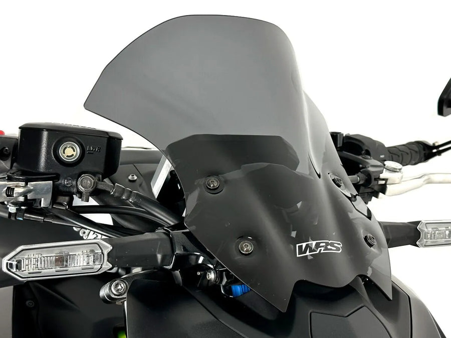 Kawasaki Z 900 [WRS] – Windschild