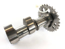 Aprilia RSV 1000 RR Factory [2009] - Kamaxelkamaxelcylinder-2