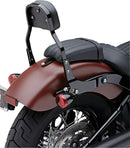 Harley-Davidson Street Bob [COBRA] – Avtagbart ryggstödssats-1