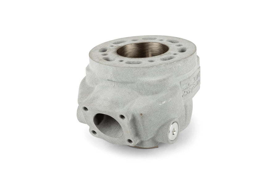 Rieju SMX SM 50 2T AM6 - Zylinderkit Racing Factory WR 90cc