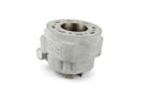 Rieju MRX Enduro 50 2T AM6 - Zylinderkit Racing Factory WR 90cc