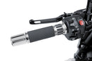 BMW F 900 R [2025] - Racinggrepp | Silver | PUIG 5879P