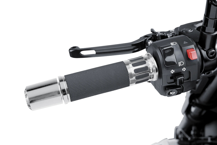 BMW F 900 R [2025] - Racinggrepp | Silver | PUIG 5879P