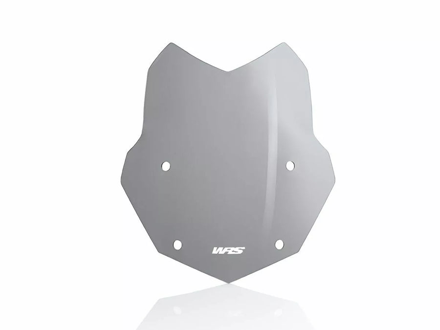BMW R 1200 GS [WRS] - vindrutan