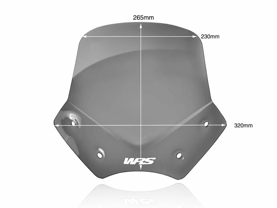 BMW R 1200 R [WRS] - vindrutan