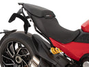 Ducati Diavel V4 [2023-2025] - C-Bow Seitenträger-7