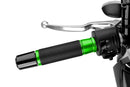APRILIA RS 125 REPLICA [2025] – Ascent Griffe – Silber-34