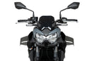 KAWASAKI Z 650 [2025] – D12 Spoiler – Schwarz-8